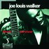 Joe Louis Walker, Blues Survivor mp3