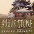 Angus Stone, Broken Brights mp3