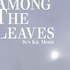 Sun Kil Moon, Among The Leaves mp3