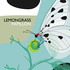 Lemongrass, Papillon mp3