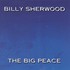Billy Sherwood, The Big Peace mp3