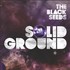 The Black Seeds, Solid Ground mp3