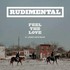 Rudimental, Feel the Love (ft. John Newman)