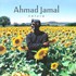 Ahmad Jamal, Nature: The Essence Part 3 mp3