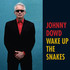Johnny Dowd, Wake Up The Snakes mp3