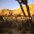 Cock Robin, I Don't Want to Save the World mp3