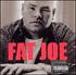 Fat Joe, All Or Nothing mp3