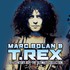Marc Bolan & T. Rex, 20th Century Boy: The Ultimate Collection mp3