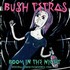 Bush Tetras, Boom In The Night mp3
