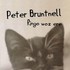 Peter Bruntnell, Ringo Woz Ere mp3