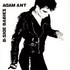 Adam Ant, B-Side Babies mp3