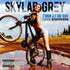 Skylar Grey, C'Mon Let Me Ride (feat. Eminem) mp3