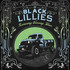 The Black Lillies, Runaway Freeway Blues mp3
