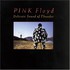 Pink Floyd, Delicate Sound Of Thunder mp3