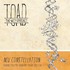 Toad the Wet Sprocket, New Constellation mp3