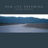 Steve Roach, New Life Dreaming mp3