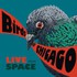 Birds of Chicago, Live From Space mp3