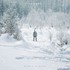 Grieves, Winter & The Wolves mp3
