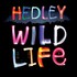 Hedley, Wild Life mp3