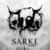 Sarke, Aruagint mp3