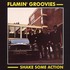 Flamin' Groovies, Shake Some Action mp3