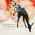 Trampled by Turtles, Wild Animals mp3
