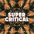 The Ting Tings, Super Critical mp3
