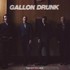 Gallon Drunk, The Rotten Mile mp3