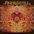 Androcell, Imbue mp3
