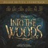 Various Artists, Into the Woods mp3
