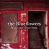 The Blueflowers, Watercolor Ghost Town  mp3