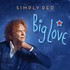 Simply Red, Big Love mp3
