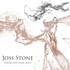 Joss Stone, Water for Your Soul mp3