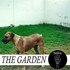The Garden, haha mp3