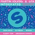 Martin Solveig & GTA, Intoxicated (The Remixes) mp3