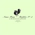 Aimee Mann, Bachelor No. 2 (or, The Last Remains of the Dodo) mp3