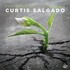 Curtis Salgado, The Beautiful Lowdown mp3