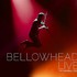 Bellowhead, Bellowhead Live: The Farewell Tour mp3