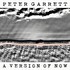 Peter Garrett, A Version of Now mp3