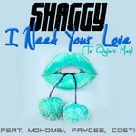 Shaggy, I Need Your Love (Te Quiero Mas)