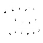 Daniel Woolhouse, What's That Sound mp3