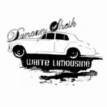 Duncan Sheik, White Limousine
