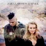 Zara Larsson & MNEK, Never Forget You mp3