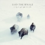 Said the Whale, As Long As Your Eyes Are Wide mp3
