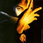 Terence Trent D'Arby, Neither Fish Nor Flesh