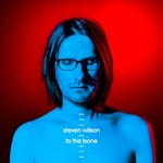 Steven Wilson, To The Bone mp3