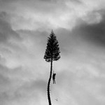 Manchester Orchestra, A Black Mile To The Surface mp3