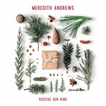 Meredith Andrews, Receive Our King mp3