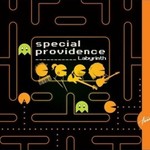 Special Providence, Labyrinth