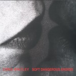 Chris Whitley, Soft Dangerous Shores